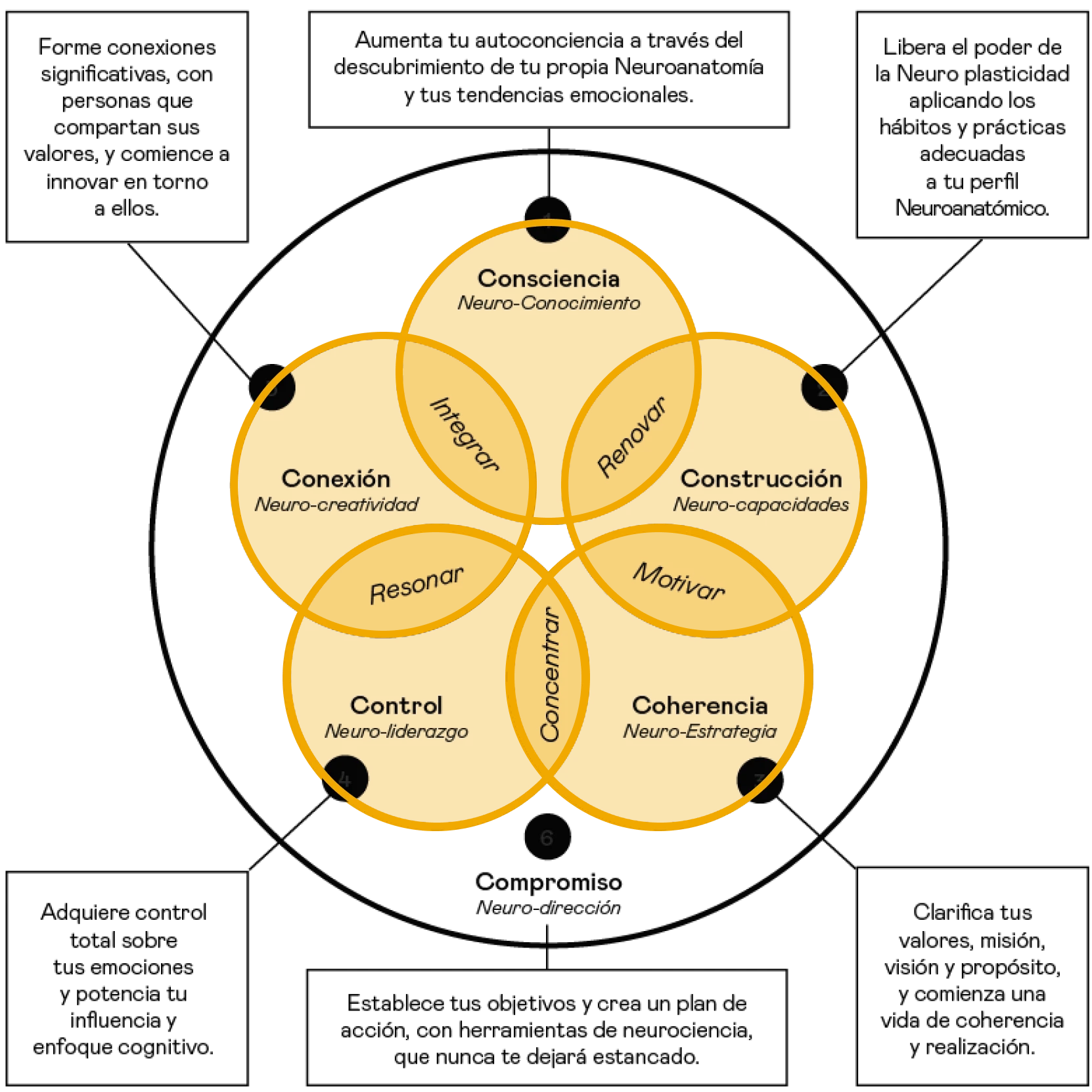 concepto_estrategia_de_liderazjo